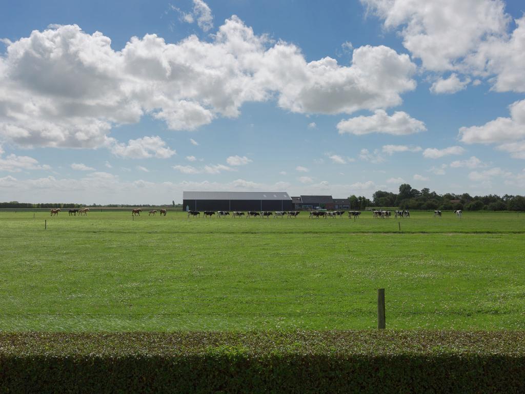 De Zeeuwse Schuur - Comfort 6 Personen Vakantiehuis Oostkapelle